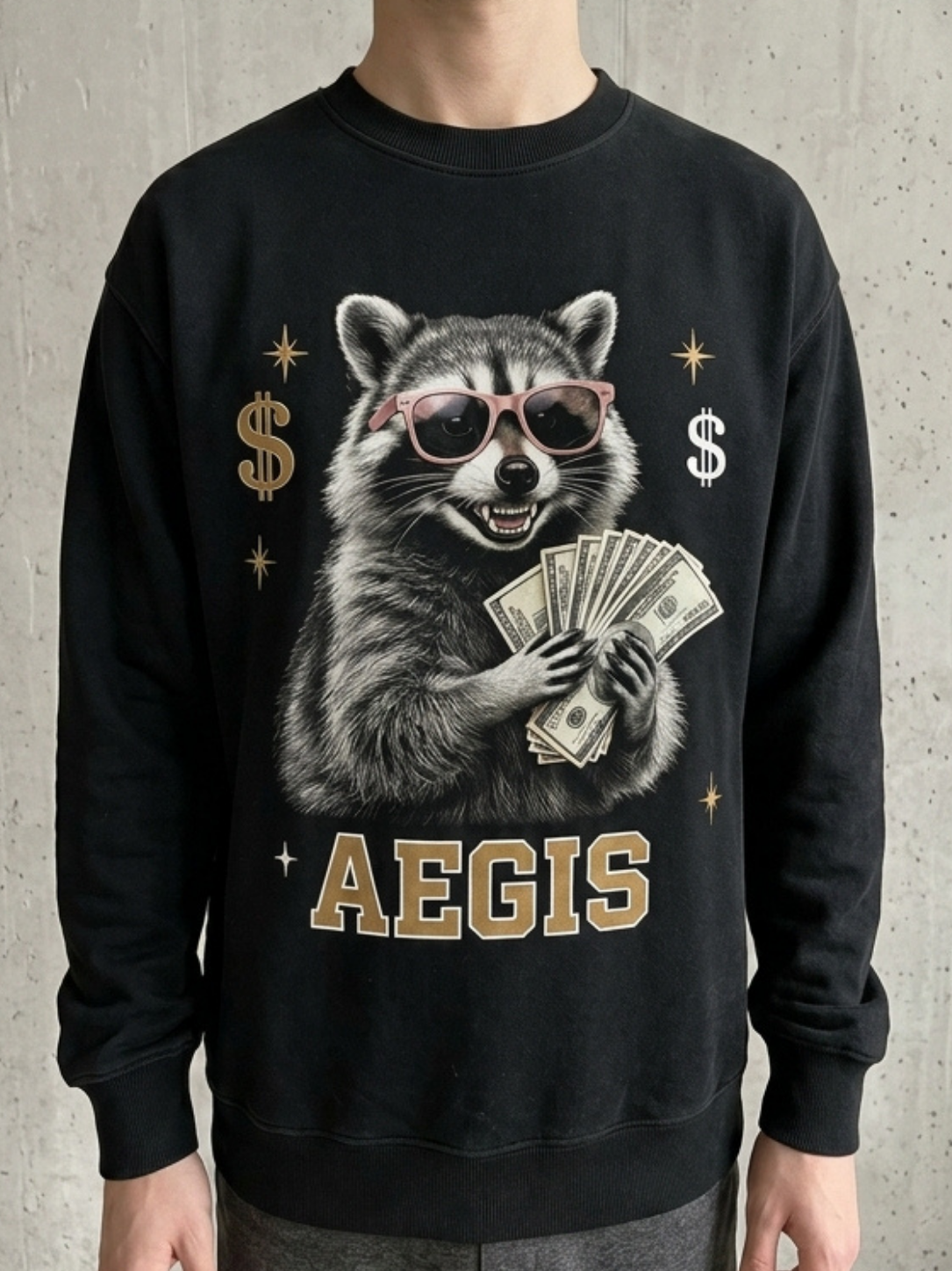 Aegis "Money Raccoon" Graphic Sweatshirt