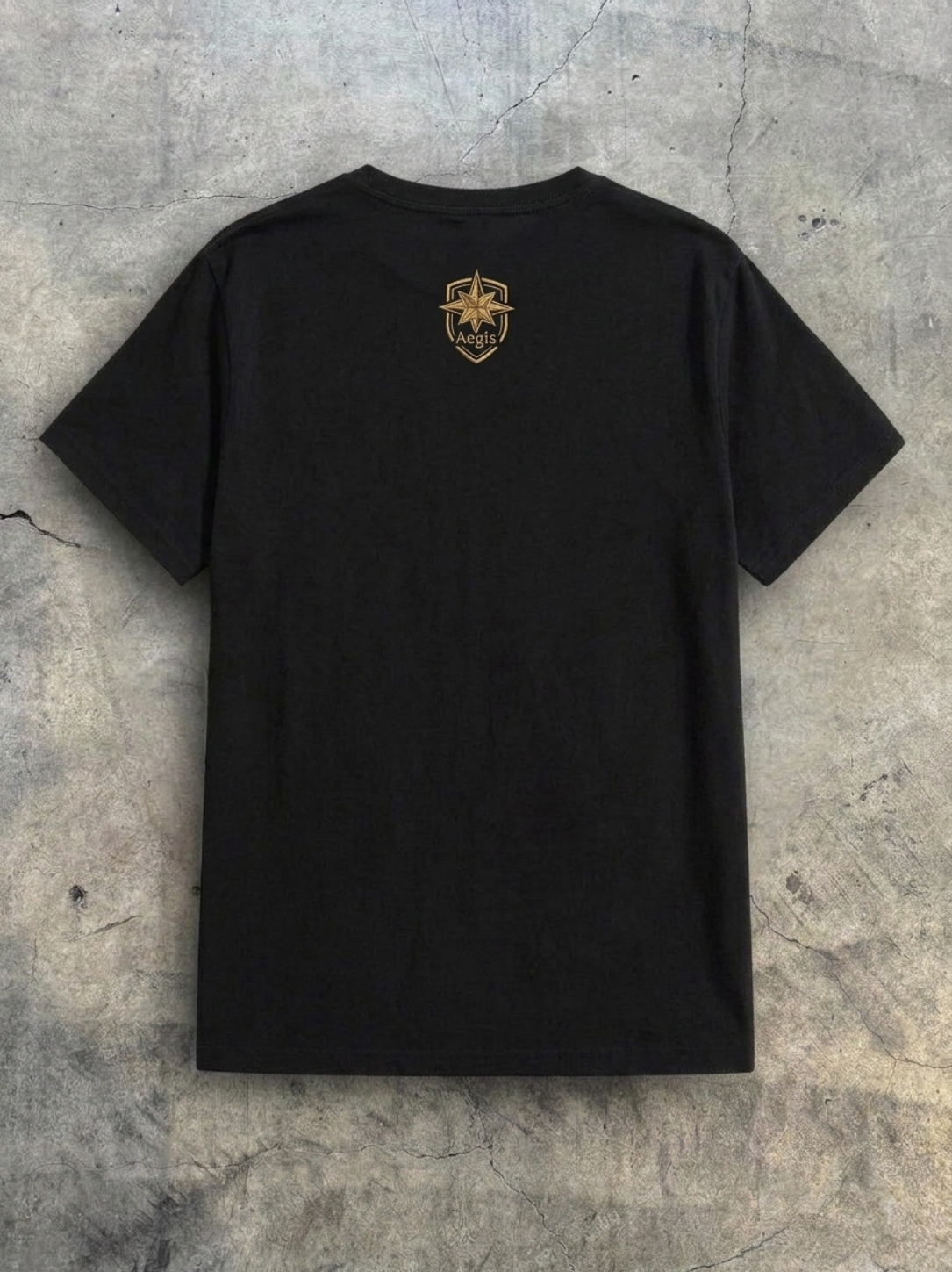 Aegis Metallic Lion Crest Heavyweight Oversized T-Shirt – Black - Image 2