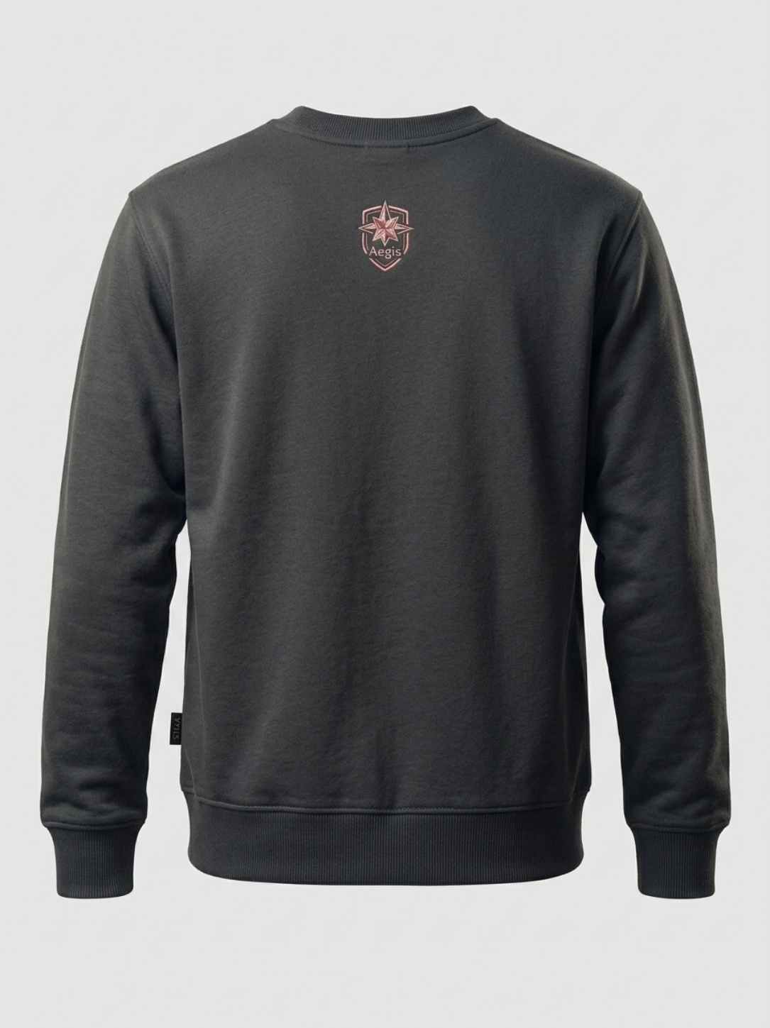 Aegis "Bear & Bass" Studio Graphic Sweatshirt - Image 3